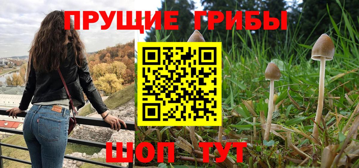 Галлюциногенные грибы MAGIC MUSHROOMS  Псилоцибиновые грибы прущие грибы  дарнет шоп  Вход с VPN  Сосновоборск 