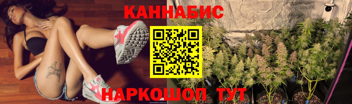 Шишки марихуана марихуана Сосновоборск